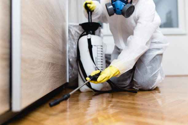 Trusted Sacaton, AZ Pest Control Experts