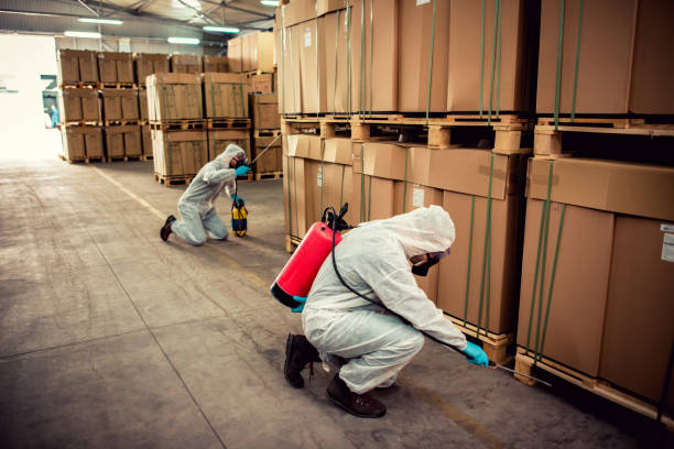 Best Insect Control  in Sacaton, AZ