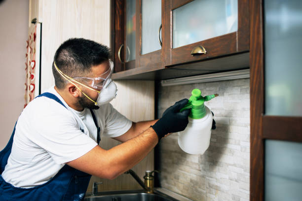 Best Emergency Pest Control  in Sacaton, AZ