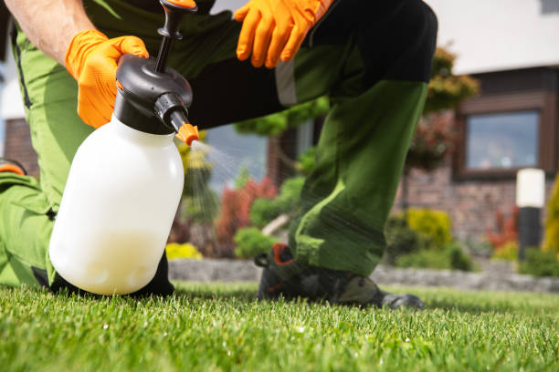 Best Residential Pest Control  in Sacaton, AZ