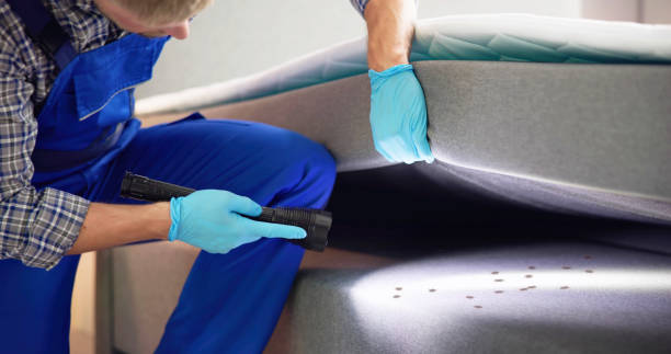 Best Pest Prevention Services  in Sacaton, AZ