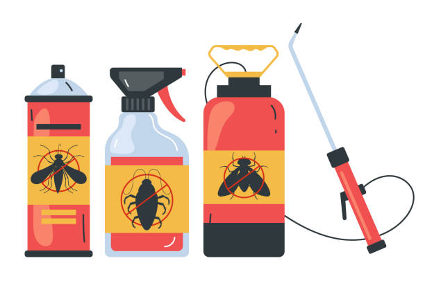 Wasp Removal Services in Sacaton, AZ