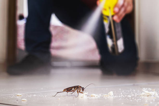 Best Best Pest Control Companies  in Sacaton, AZ