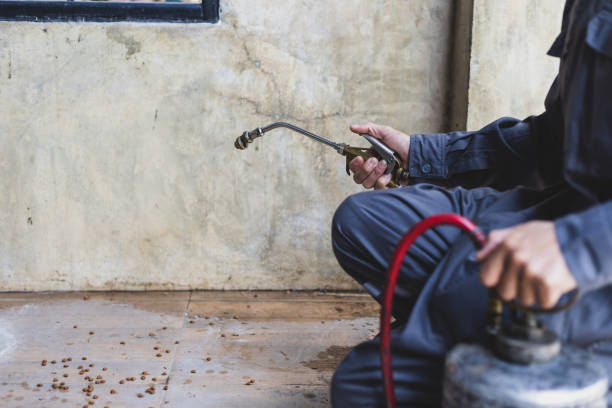 Best Ant Control Services  in Sacaton, AZ